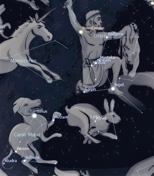 Photo showing the Orion, Canis Major and Lepus constellations.