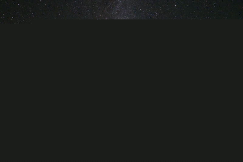0G9A4838