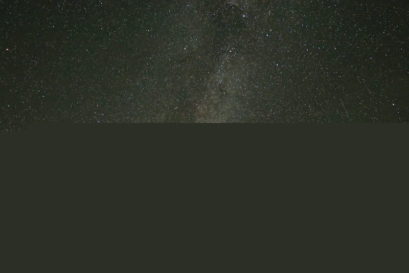 0G9A4869