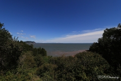 0G9A4543